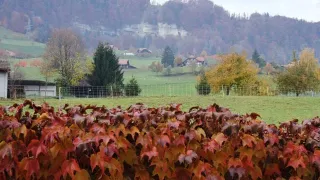 Herbst (Foto: Susanna Bleuer)
