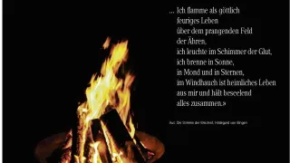 14-06 Feuer (Foto: Christoph Knoch)