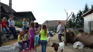 (10.09.2014) Tier-Erlebnisse auf John's kleiner Farm (Foto: Keeoma Fischer): Die &quot;Geissli&quot; knabberten gerne an T-Shirt und Hose! 