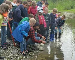 (19.08.2015) Kiesgrube (Foto: Jugend Arbeit) (19.08.2015) Kiesgrube: Freilassung der Ringelnatter (Foto: Jugend Arbeit)