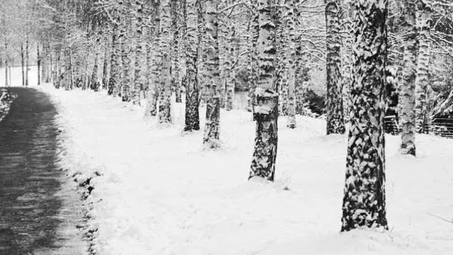 winter (Foto: Claudia Hofer W&auml;lti)